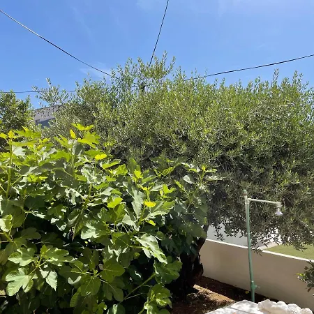 דירה Engeli