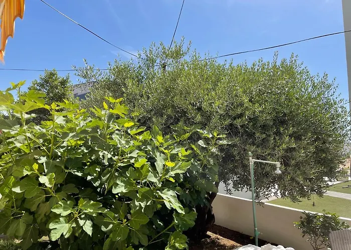 Apartmán Engeli