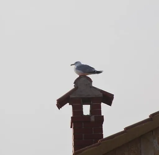 Engeli Appartamento Vir